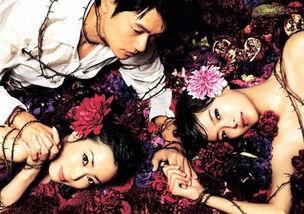 蜜之味在线观看,甜蜜邂逅,在线见证爱情奇迹 第3张 蜜之味在线观看,甜蜜邂逅,在线见证爱情奇迹 第3张