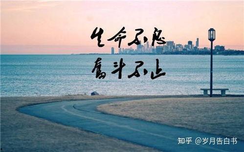 娱乐吃瓜酱厉志奋斗,娱乐吃瓜酱的逆袭之路 第3张 娱乐吃瓜酱厉志奋斗,娱乐吃瓜酱的逆袭之路 第3张